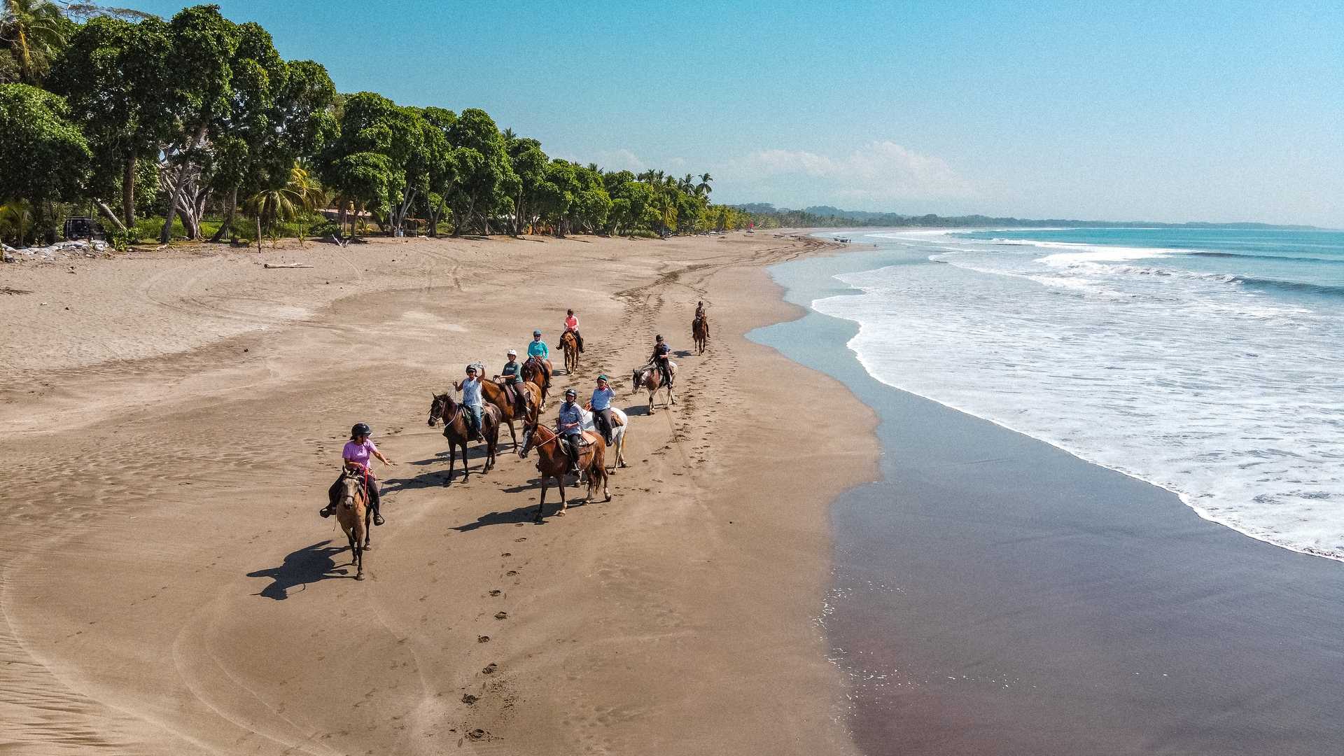 A group of people horseriding at the beach