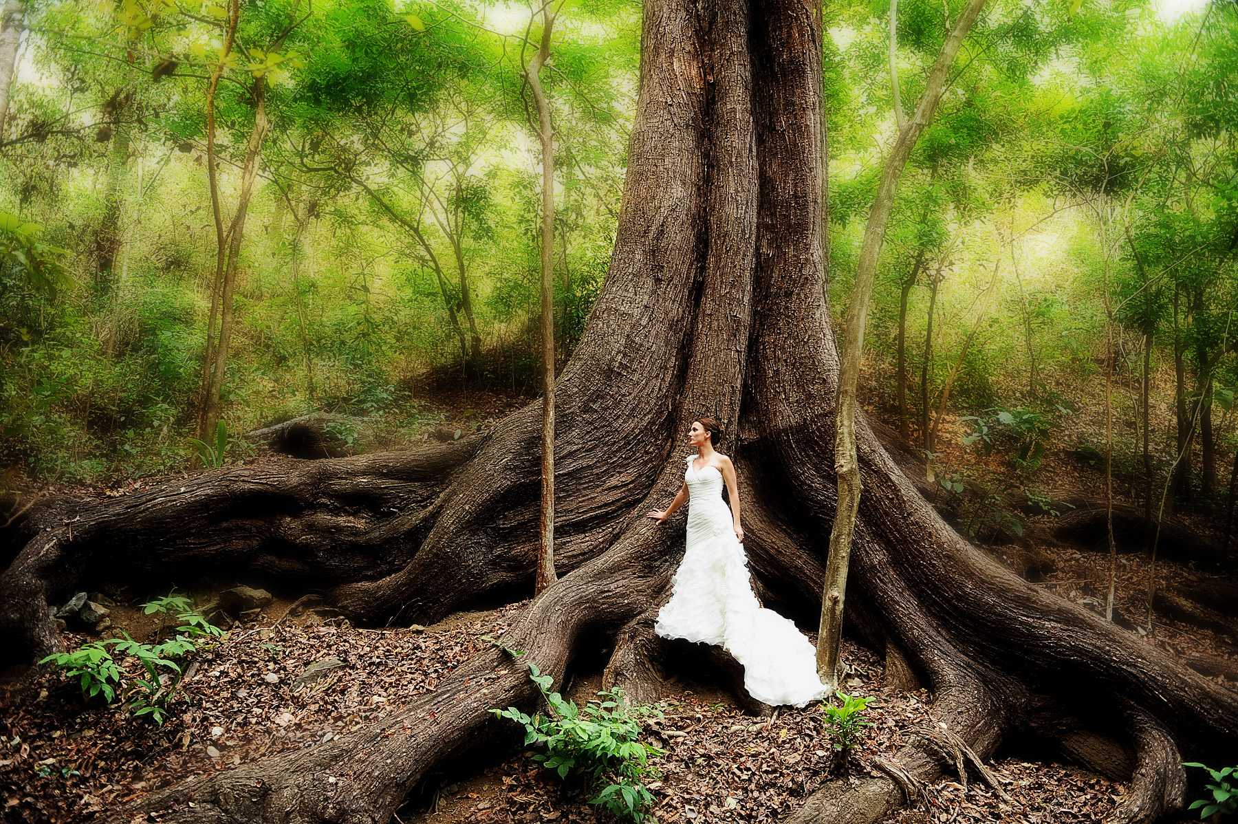 A bride in the forest by a large tree
